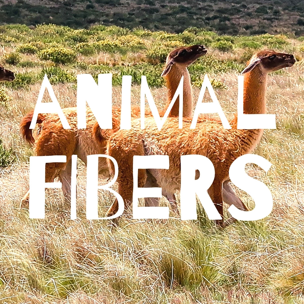 Other Animal Fibers