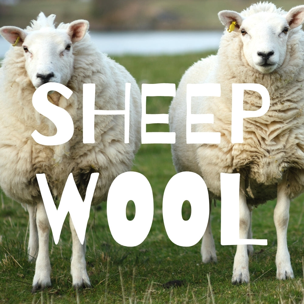 Sheep Wool Fibers